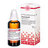 PAREIRA BRAVA D 3 Dilution