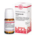 PYROGENIUM D 8 Tabletten