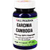 GARCINIA CAMBOGIA 400 mg GPH Kapseln