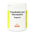 CHONDROITIN GLUCOSAMIN Kapseln