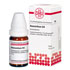 ANACARDIUM D 4 Globuli