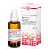 ARANEA DIADEMA D 6 Dilution