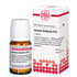 ARANEA DIADEMA D 12 Tabletten