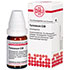 TARAXACUM C 30 Globuli