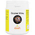 GELENK VITAL Supra Tabletten