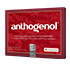 ANTHOGENOL Masquelier OPC Kapseln