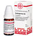 CARDIOSPERMUM D 2 Globuli