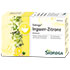 SIDROGA Wellness Ingwer-Zitrone Tee Filterbeutel