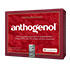 OPC ORIGINAL Masqueliers Anthogenol Kapseln