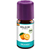 BALDINI BioAroma Orange Bio/demeter Öl