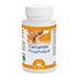 CURCUMIN-PHOSPHOLIPID Dr.Jacob\'s Kapseln