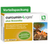 CURCUMIN-LOGES plus Boswellia Kapseln