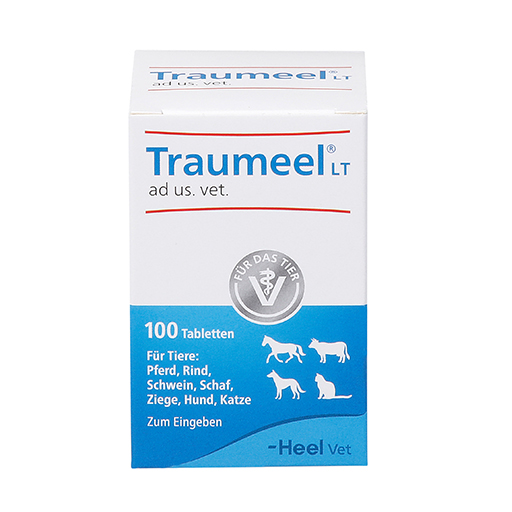 TRAUMEEL LT ad us.vet.Tabletten