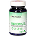 MARIENDISTEL 500 mg vegan GPH Kapseln