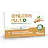 GINGERIN PLUS Kapseln