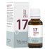 BIOCHEMIE Pflüger 17 Manganum sulfuricum D 12 Gl.