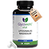 GLYCOWOHL vital liposomales Magnesium hochdos.Kps.