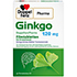 GINKGO DOPPELHERZPHARMA 120 mg Filmtabletten