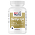 CORDYCEPS CS-4 500 mg Kapseln