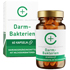CERASCREEN Darmbakterien 13 Kulturen+B6+B2 Kapseln