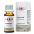 CERES Koriander Coriandrum sativum Extrakt Tropfen