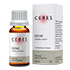CERES Esche Fraxinus excelsior Extrakt Tro.z.Einn.