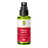 WINTERZAUBER Raumspray Bio