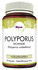 POLYPORUS PILZPULVER-Kapseln