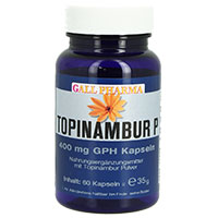 TOPINAMBUR P 400 mg GPH Kapseln