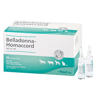 BELLADONNA HOMACCORD ad us.vet.Ampullen