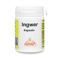 INGWER KAPSELN 300 mg