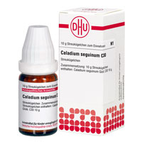 CALADIUM seguinum C 30 Globuli