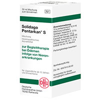 SOLIDAGO PENTARKAN S Mischung