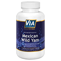 VIAVITAMINE Mexican wild Yam Kapseln