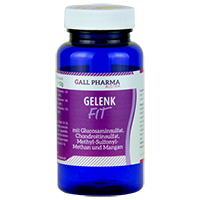 GELENK-FIT GPH Kapseln