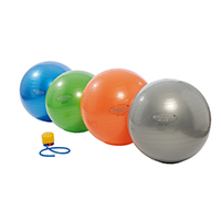 GYMNASTIKBALL Rehaforum 75 cm silber metallic