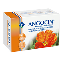 ANGOCIN Anti Infekt N Filmtabletten