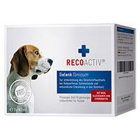 RECOACTIV Gelenk Tonicum f.Hunde Kurpackung