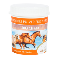 CHAGA BIO Vitalpilz Pulver für Tiere