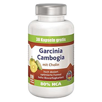 VIAVITAMINE Garcinia Cambogia Kapseln