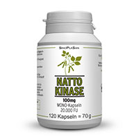NATTOKINASE 100 mg Mono 20.000 FU Kapseln