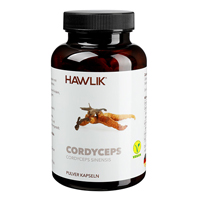 CORDYCEPS PULVER Kapseln