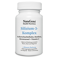 SILIZIUM-3-Komplex Vitamin C hochdosiert vegan Kps
