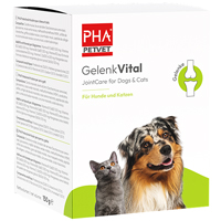 PHA GelenkVital Erg.Futterm.Pulver f.Hunde/Katzen